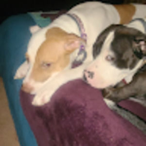 Meet your Posher, Autumn